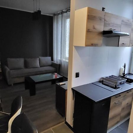 דירות Piotrków Trybunalski Apartament Pod Wieza מראה חיצוני תמונה